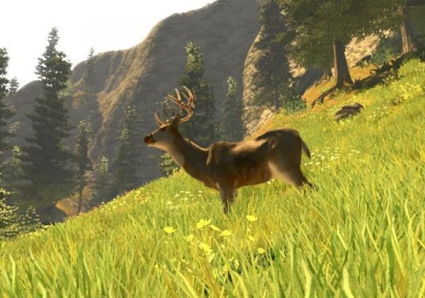 Cabelas Trophy Bucks - Image 2