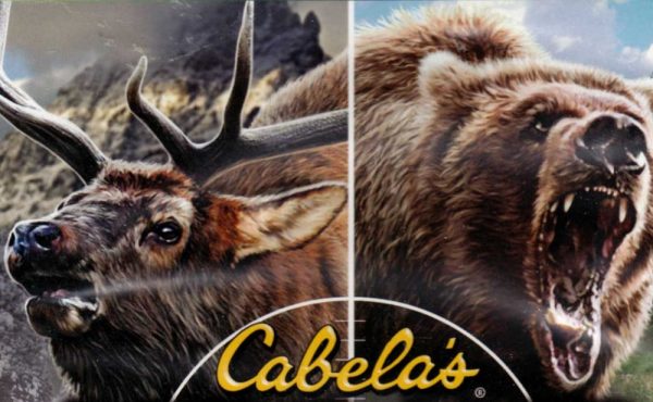 Cabelas Big Game Hunter 2010 - Image 2