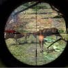 Cabelas Big Game Hunter 2008 - Image 2