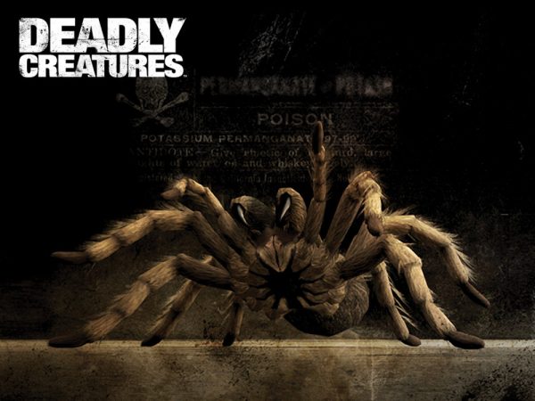 Deadly Creatures - Image 2